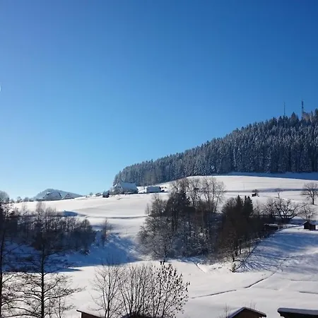 Appartement Schwarzwaldzauber Baiersbronn