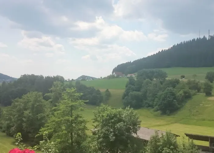 Apartament Schwarzwaldzauber Baiersbronn