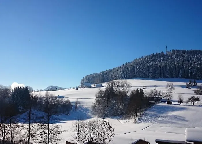 Apartament Schwarzwaldzauber Baiersbronn